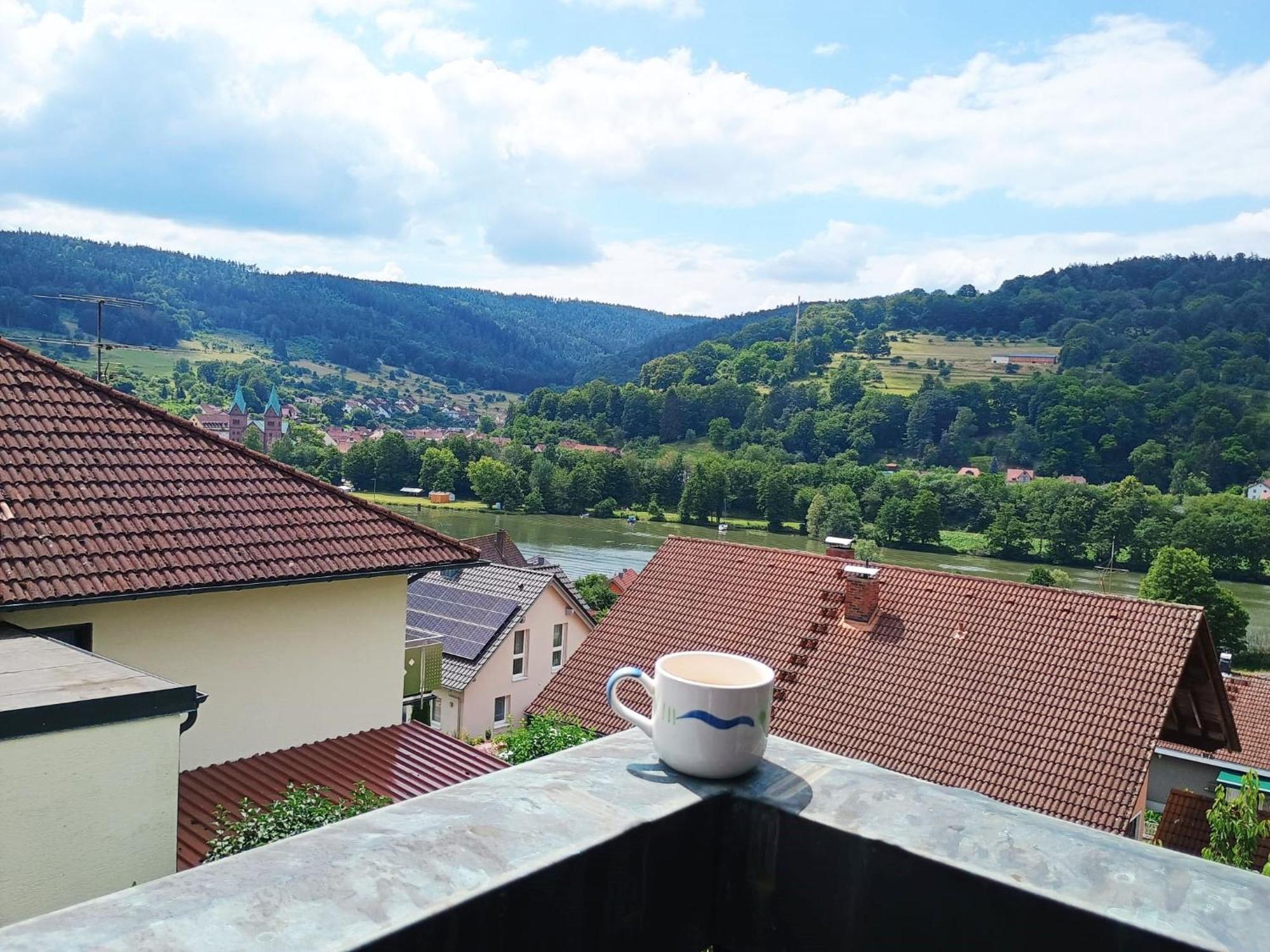 Апартаменти Sleep&Chill - Ruhige Uebernachtung Mit Main-Blick Neustadt am Main Екстер'єр фото