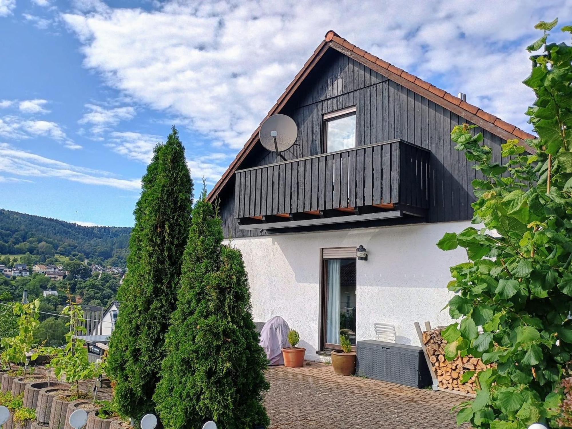 Апартаменти Sleep&Chill - Ruhige Uebernachtung Mit Main-Blick Neustadt am Main Екстер'єр фото